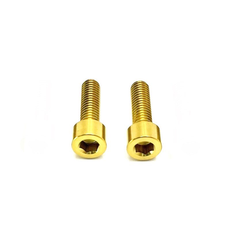 Titanium Motor Cover Bolts (Set of Two) Surron LBX and Light E-moto