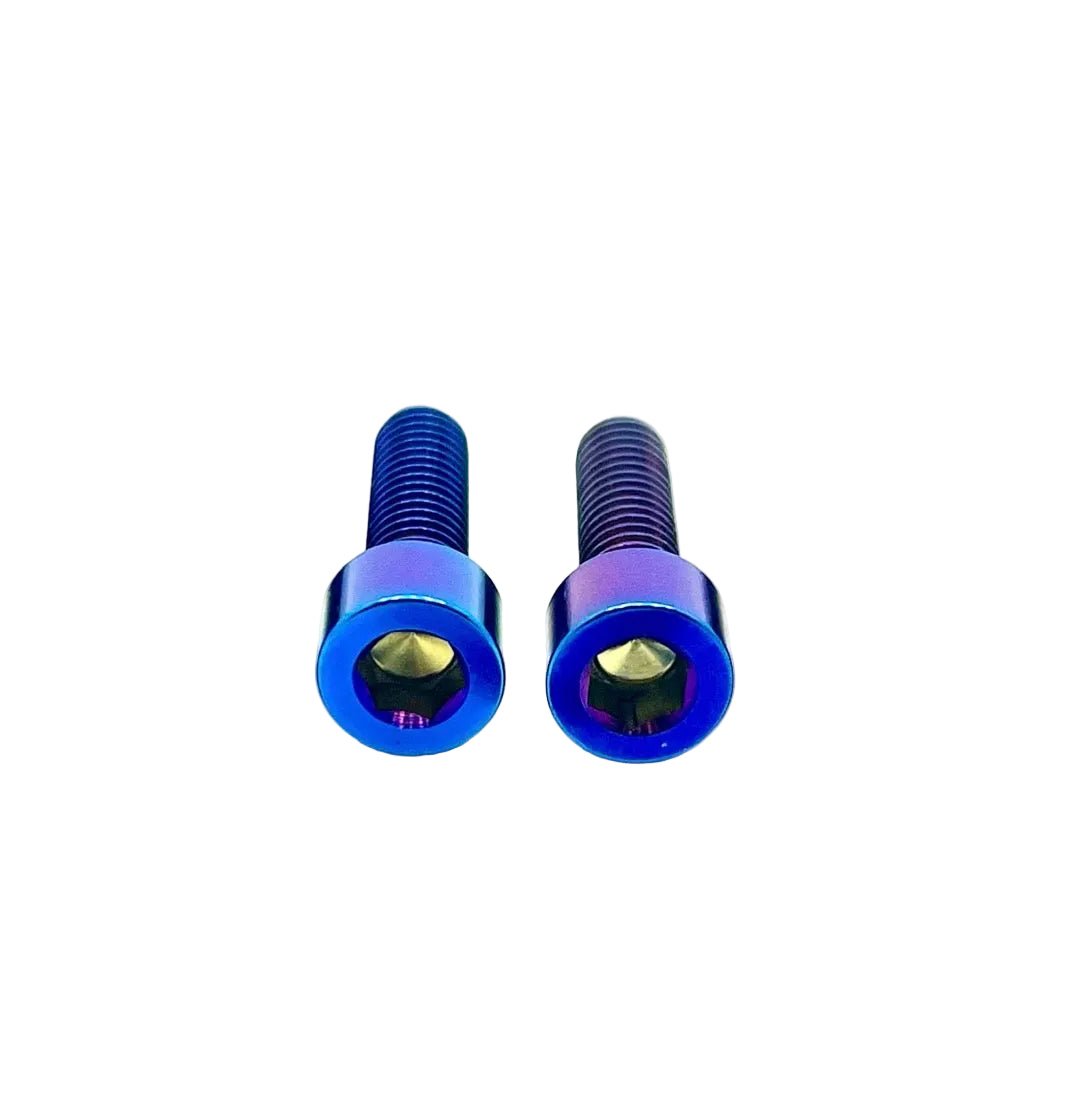 Titanium Motor Cover Bolts (Set of Two) Surron LBX and Light E-moto