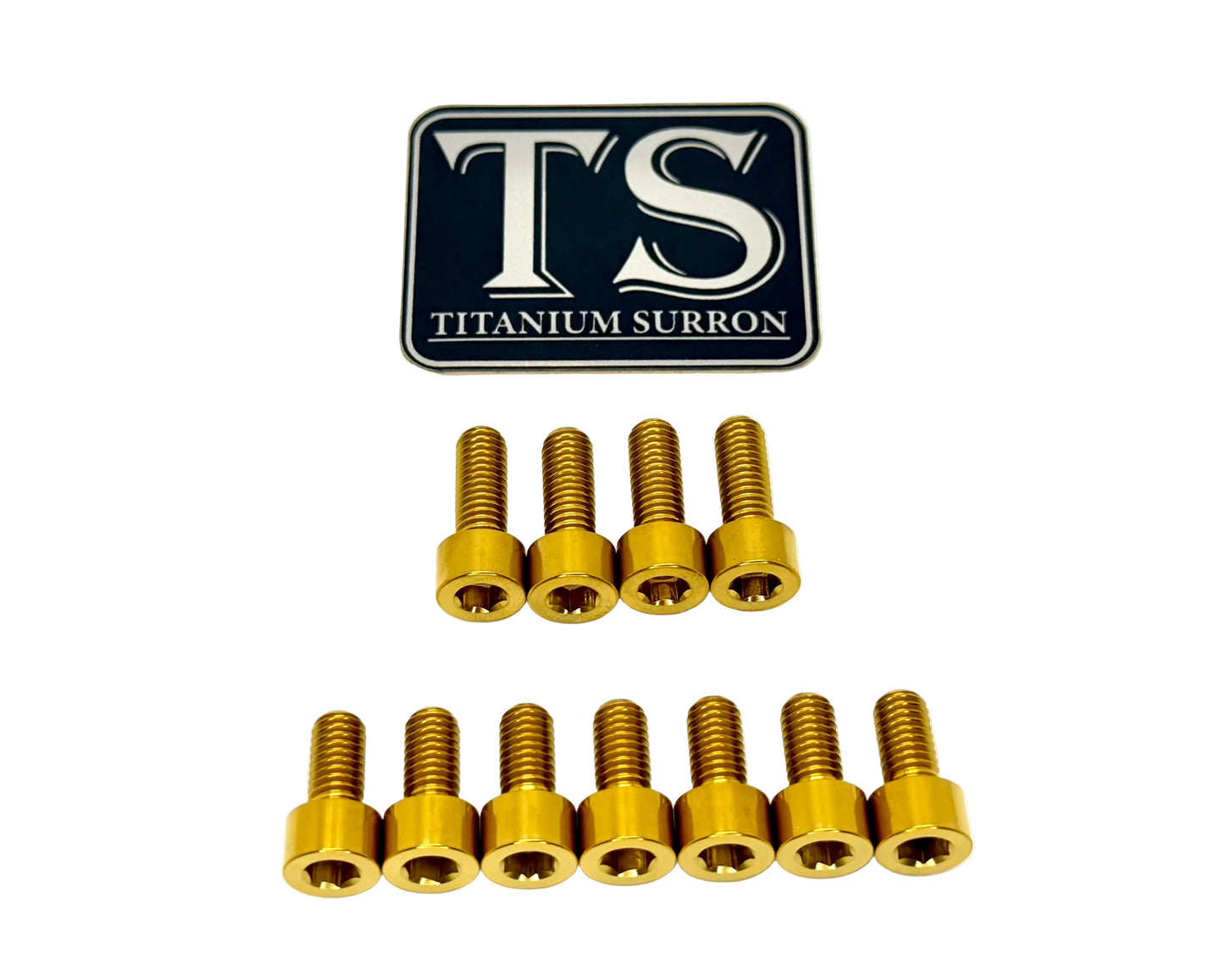 Titanium EXT Ferro Fork Bolt Kits