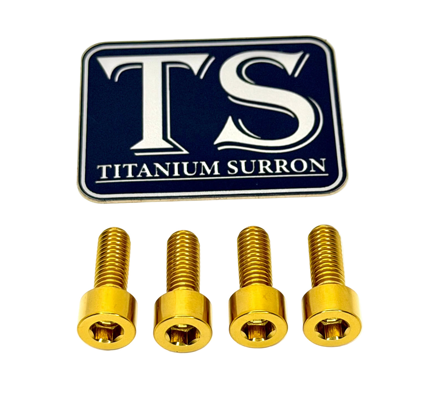 Titanium Controller Mount Bolts for E-moto