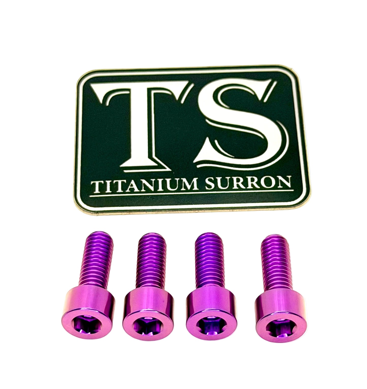 Titanium Controller Mount Bolts for E-moto