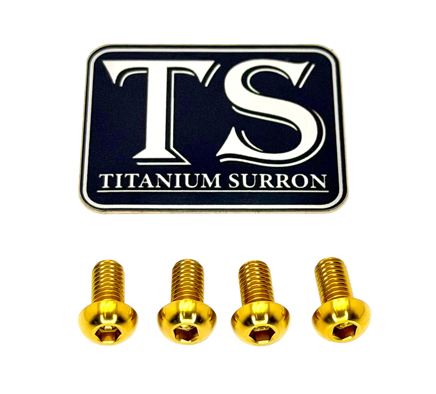 Titanium Controller Mount Bolts for E-moto