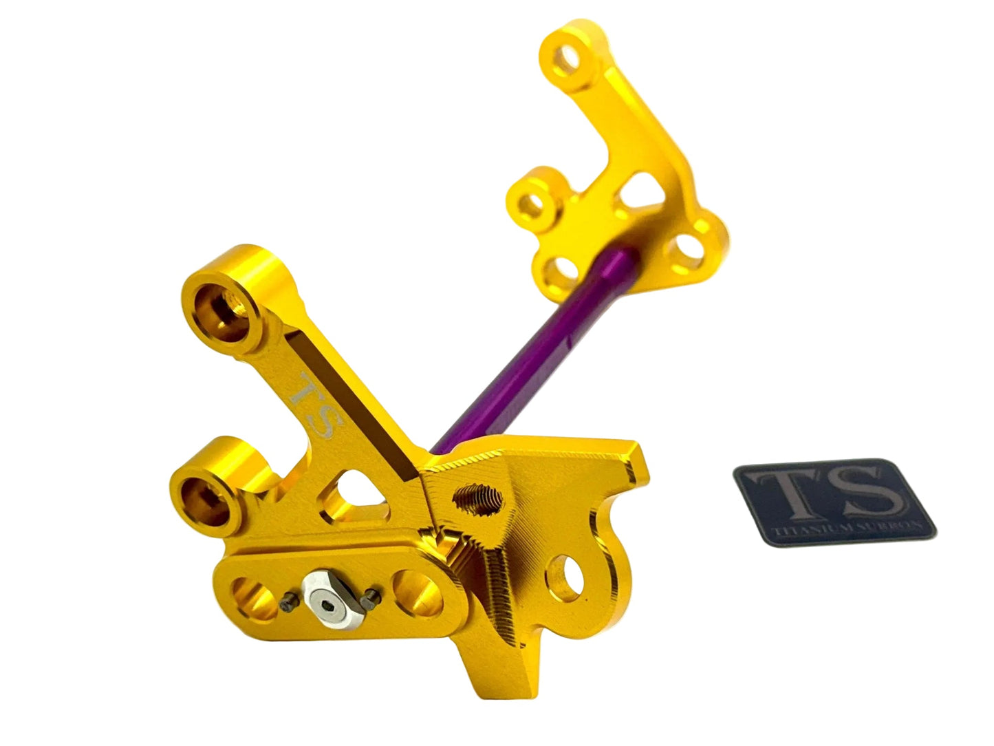 Custom CNC Aluminum Footpeg Bracket Assembly E-Ride Pro
