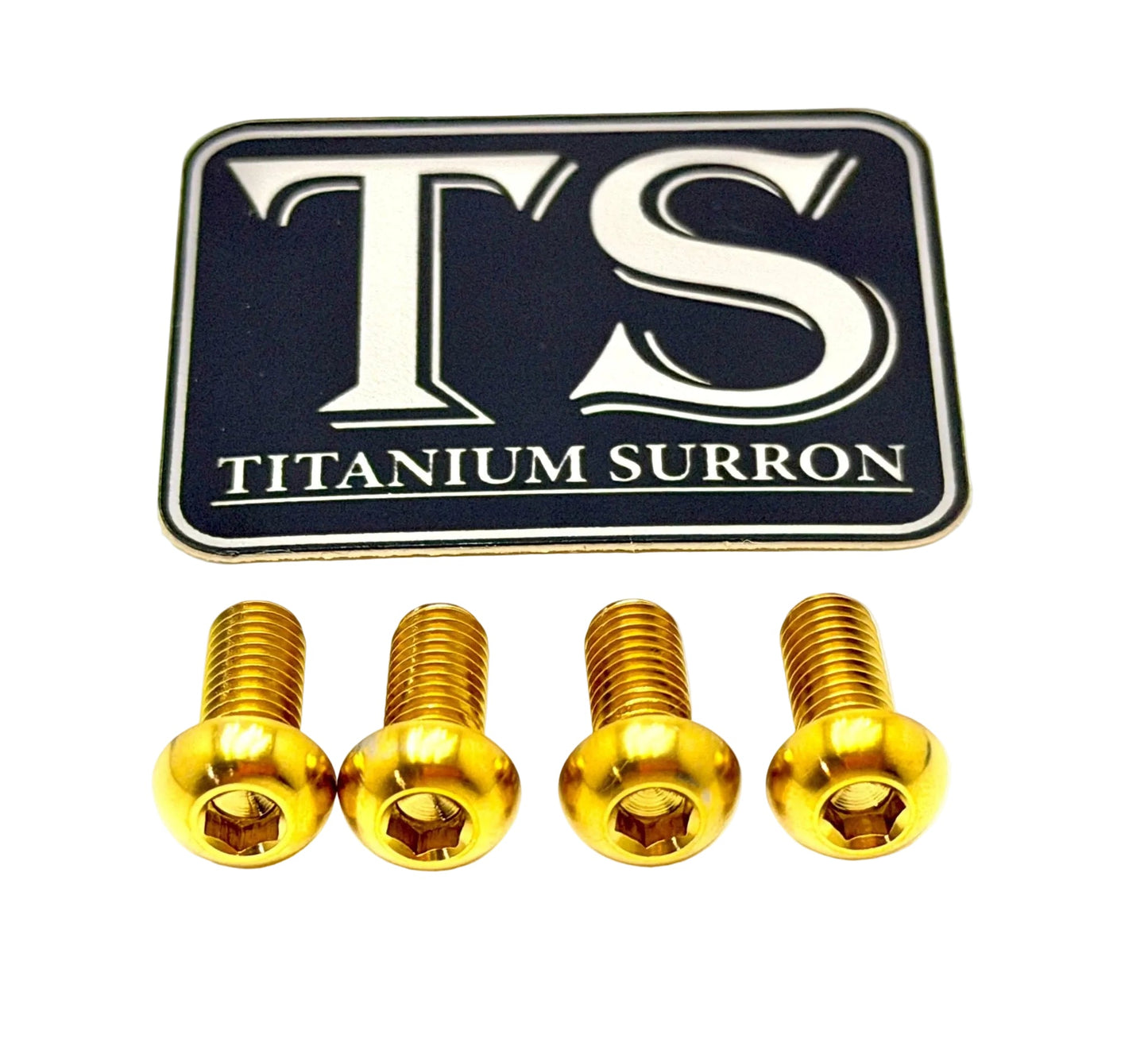Titanium Controller Mount Bolts for E-moto