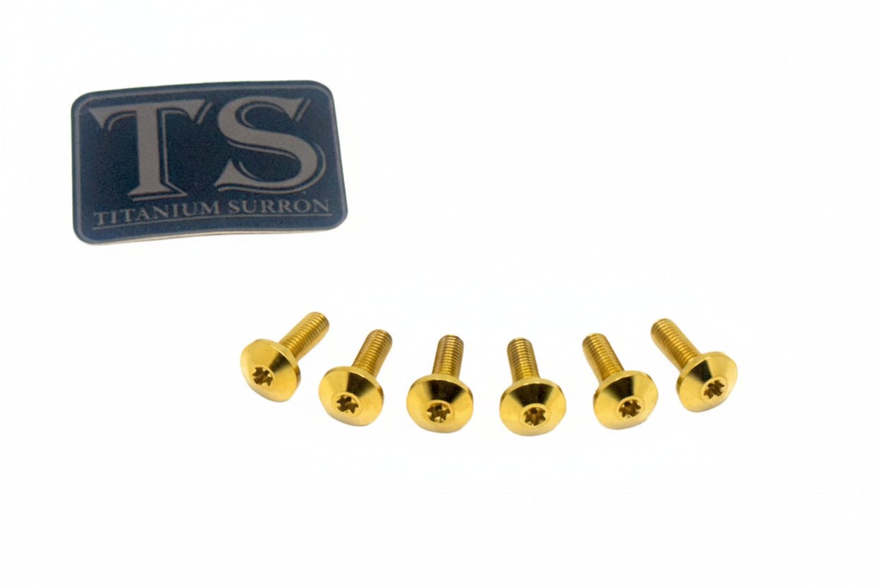Titanium Front Rotor Bolts - E-Moto