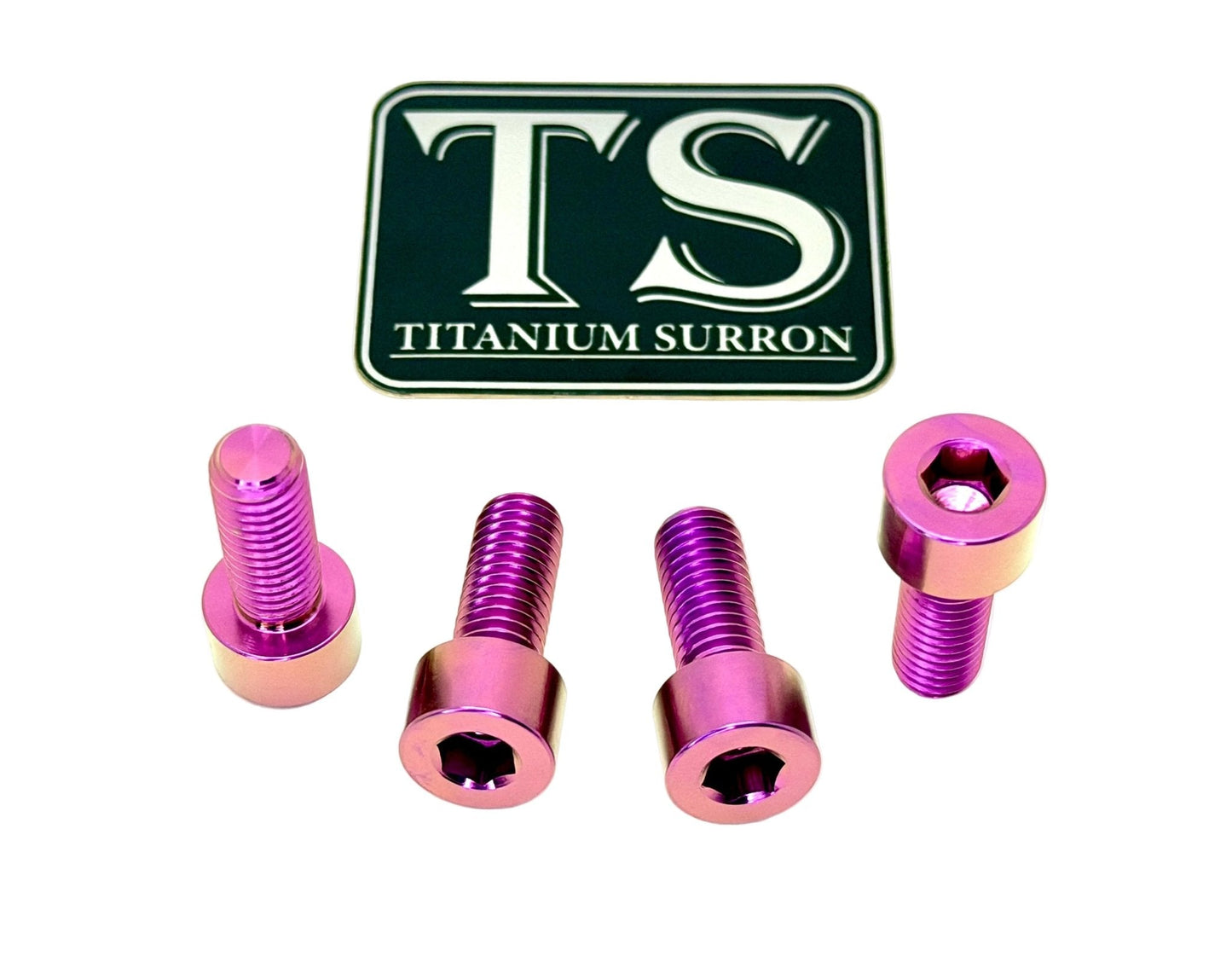 Titanium Peg Bracket Bolts - E-moto