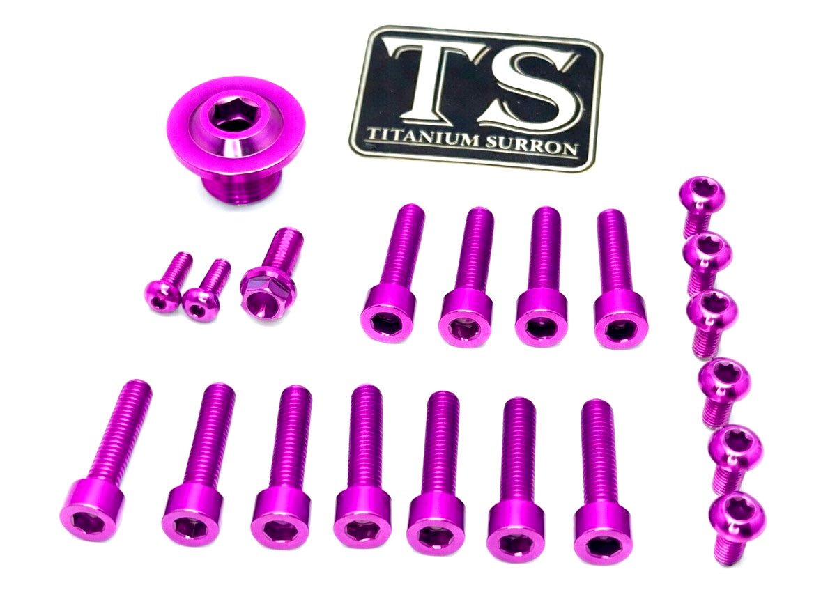 Titanium Surron Ultra Bee OEM Fork Bolt Kit